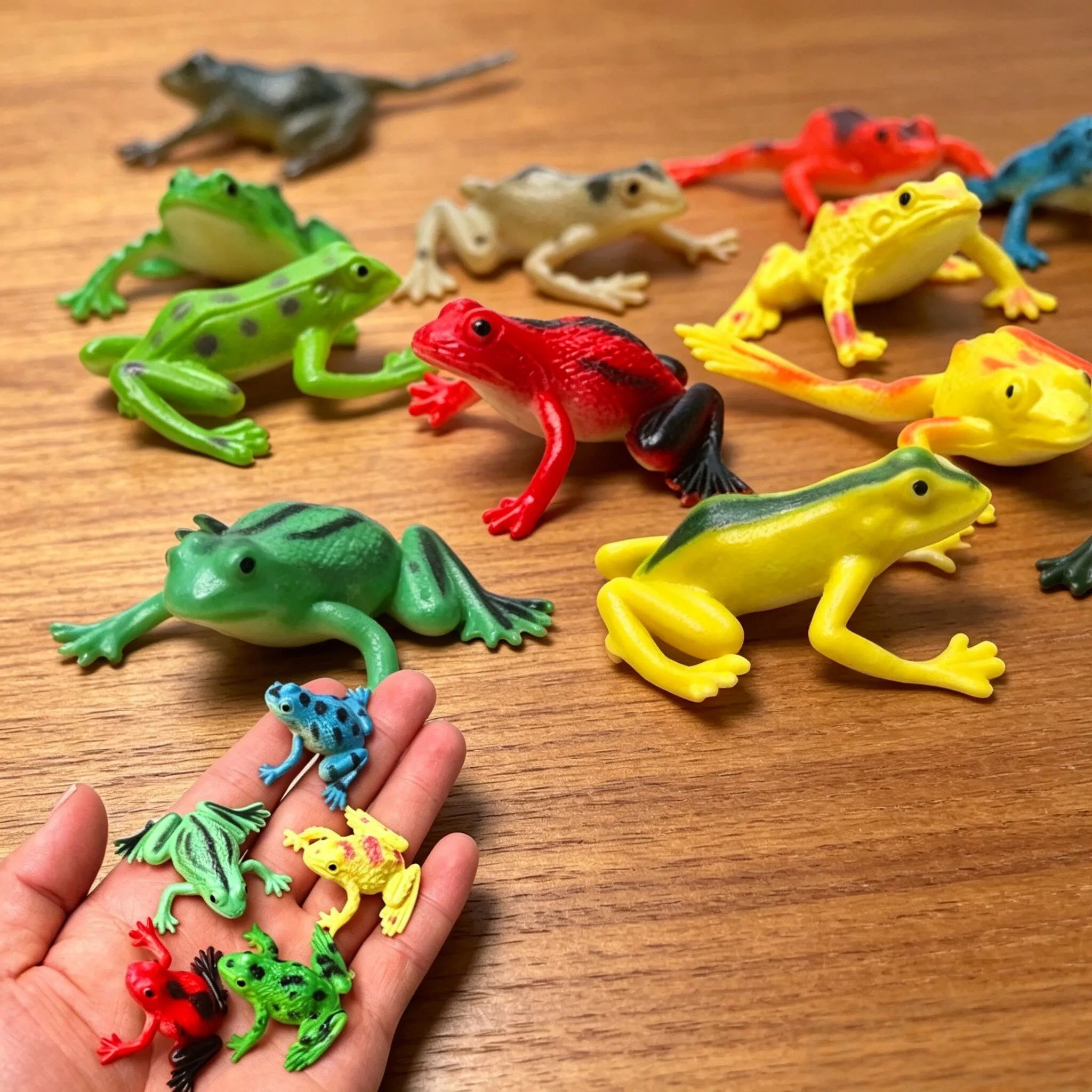 12Pcs 현실적인 개구리 동상 어린이 과학 장난감 P - Science And Hobby 리뷰 및 가격