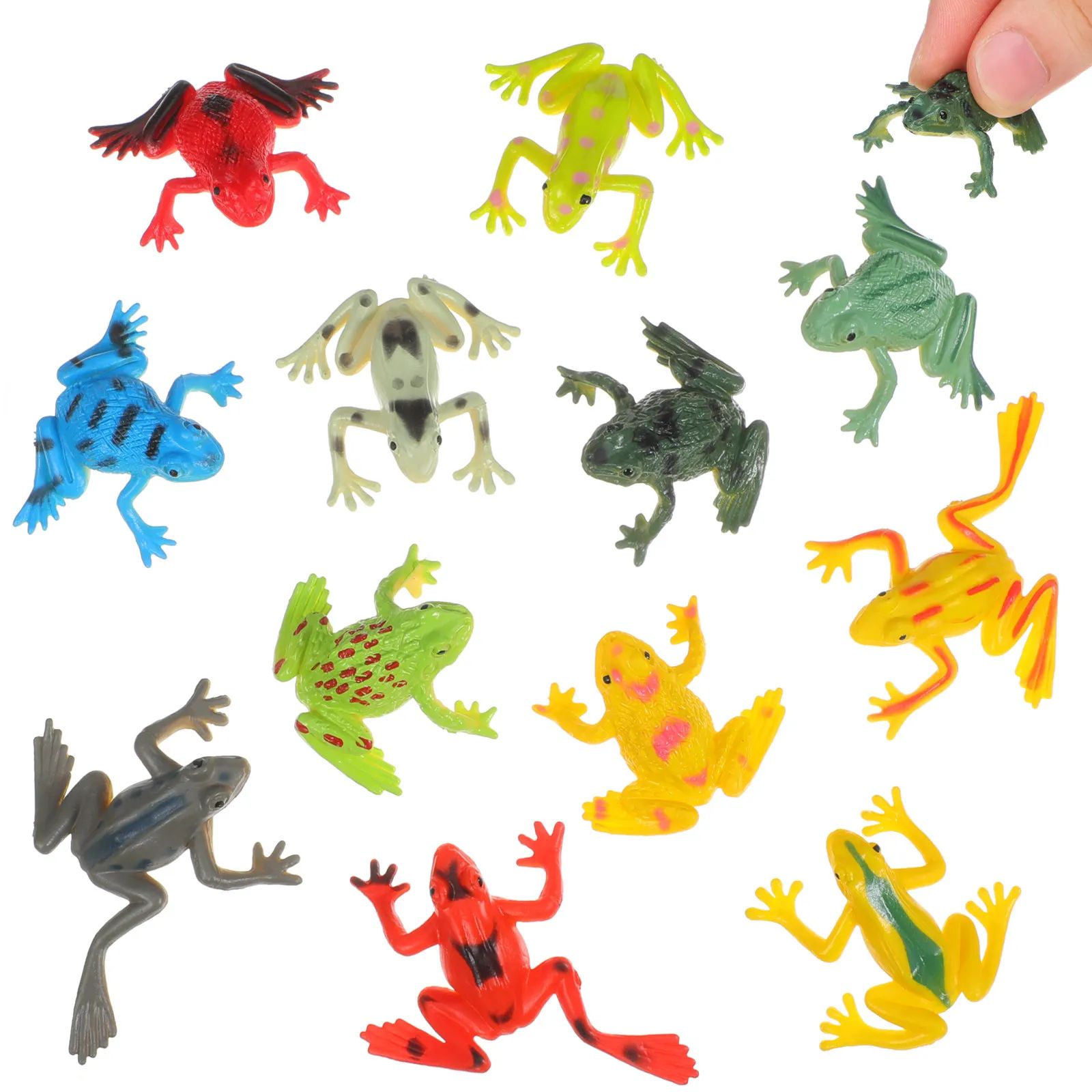 12Pcs 현실적인 개구리 동상 어린이 과학 장난감 P - Science And Hobby 리뷰 및 가격